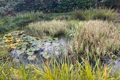 IMG-20261010-WA0016