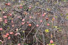 IMG-20261010-WA0022