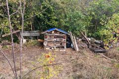 IMG-20261010-WA0026