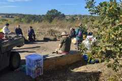 IMG-20261013-WA0009
