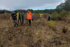 IMG-20261013-WA0017