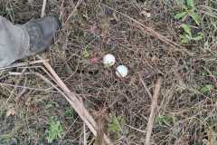 IMG-20261013-WA0033