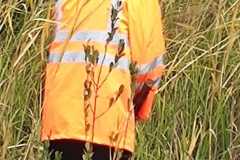 IMG-20261013-WA0036