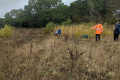 IMG-20261013-WA0037