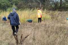 IMG-20261013-WA0039