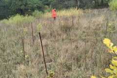 IMG-20261013-WA0041