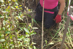 IMG-20260929-WA0038