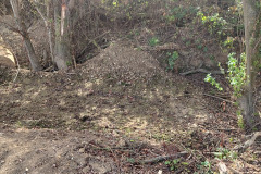 IMG-20261006-WA0011
