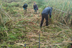 IMG-20261018-WA0005
