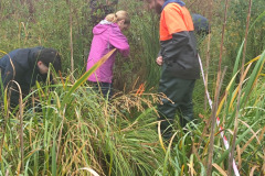 IMG-20261018-WA0009