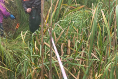 IMG-20261018-WA0011
