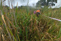 IMG-20261018-WA0012