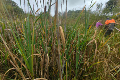 IMG-20261018-WA0015