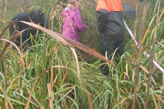 IMG-20261018-WA0019