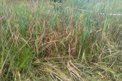 IMG-20261018-WA0021