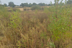 IMG-20261018-WA0022