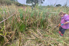 IMG-20261018-WA0025
