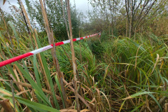 IMG-20261018-WA0026