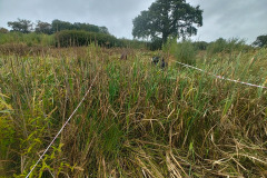 IMG-20261018-WA0027