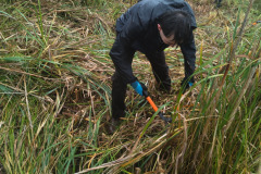 IMG-20261018-WA0038