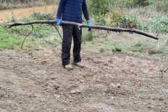IMG-20261020-WA0006