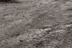 IMG-20261020-WA0016