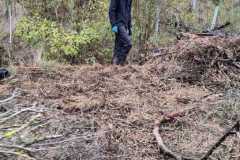IMG-20261020-WA0019