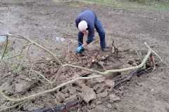 IMG-20261020-WA0030