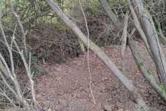 IMG-20261020-WA0034