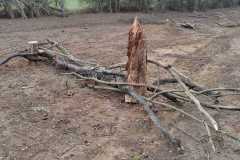 IMG-20261020-WA0037