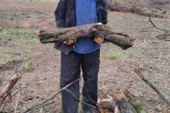 IMG-20261020-WA0039
