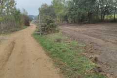 IMG-20261020-WA0043