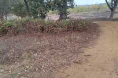 IMG-20261020-WA0045