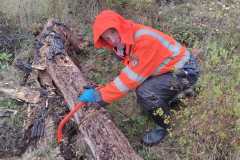 IMG-20261020-WA0077