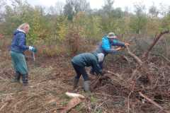 IMG-20261020-WA0083