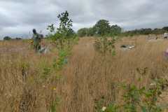 IMG-20260915-WA0016
