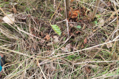 IMG-20261020-WA0104
