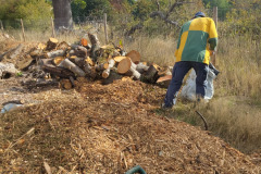 IMG-20261020-WA0106