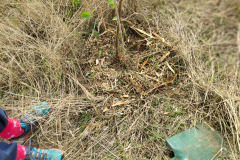 IMG-20261020-WA0107