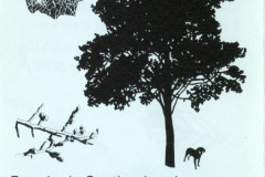 scan0507