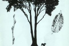 scan0509