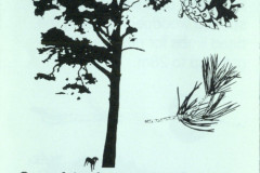 scan0513