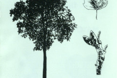 scan0515