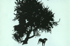 scan0517