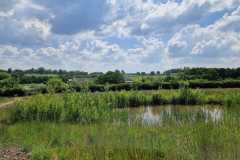 IMG-20240520-WA0001