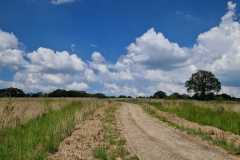IMG-20240520-WA0003
