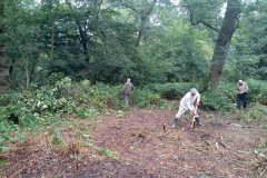 IMG-20240716-WA0001