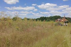 IMG_20220622_131645