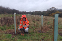 IMG_20241119_135102