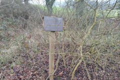 IMG_20260210_100639_HDR